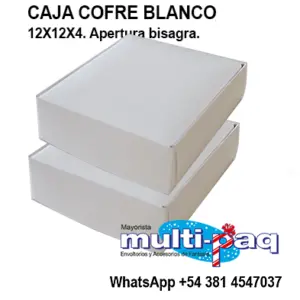 CAJA COFRE BLANCO