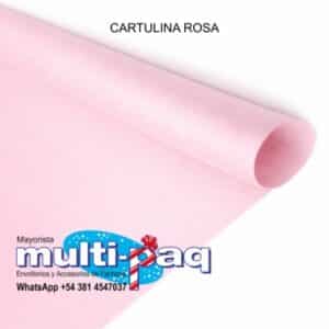 CARTULINA ROSA