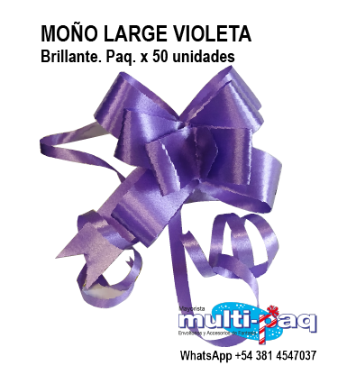 MOÑO MAGICO BRILLANTE VIOLETA LARGE
