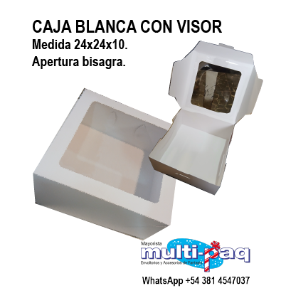 CAJA BLANCA CON VISOR 24X24X10